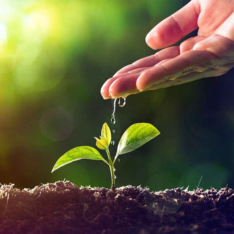 How to Use Artificial Intelligence to Build Your Business Network